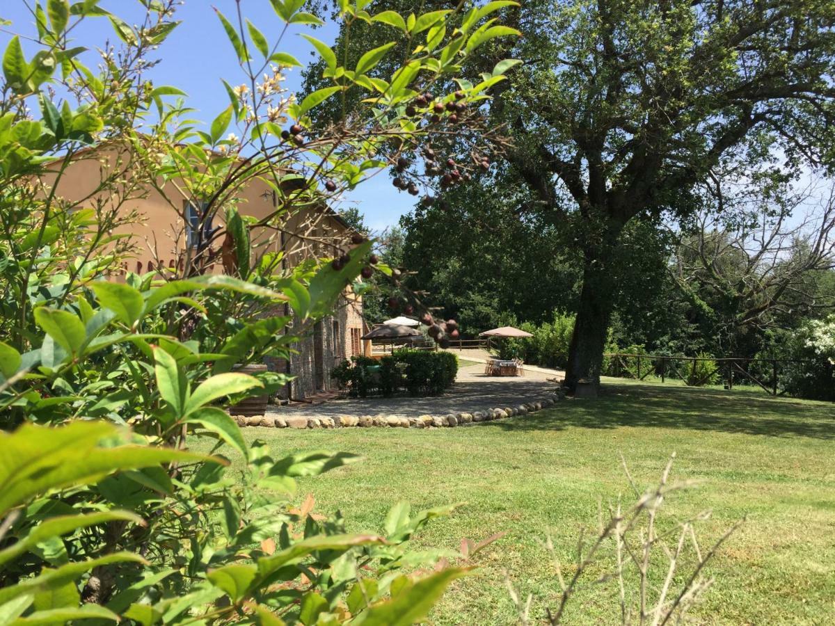 Agriturismo Pieve De Pitti Terricciola Exterior photo